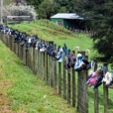 NZL MWT SH4 2011SEPT13 004 : 2011, 2011 - Rugby World Cup, Date, Manawatu-Wanganui, Month, New Zealand, Oceania, Places, September, Shoe Fence, State Highway 4, Trips, Year